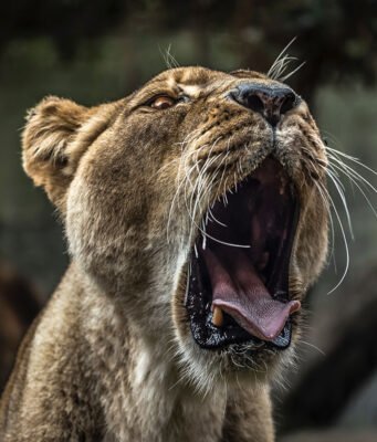 10 Ways to Make Extra Money as a Graphic Designer